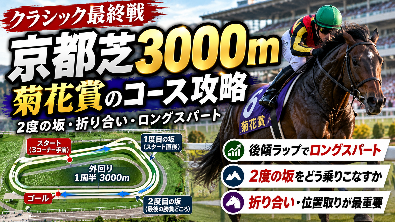 京都芝3000m外回り・菊花賞のコース特徴とラップ傾向を分析した攻略ガイド